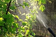 Comment arroser efficacement son jardin ?