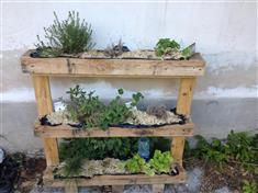 Potager vertical d'aromatiques